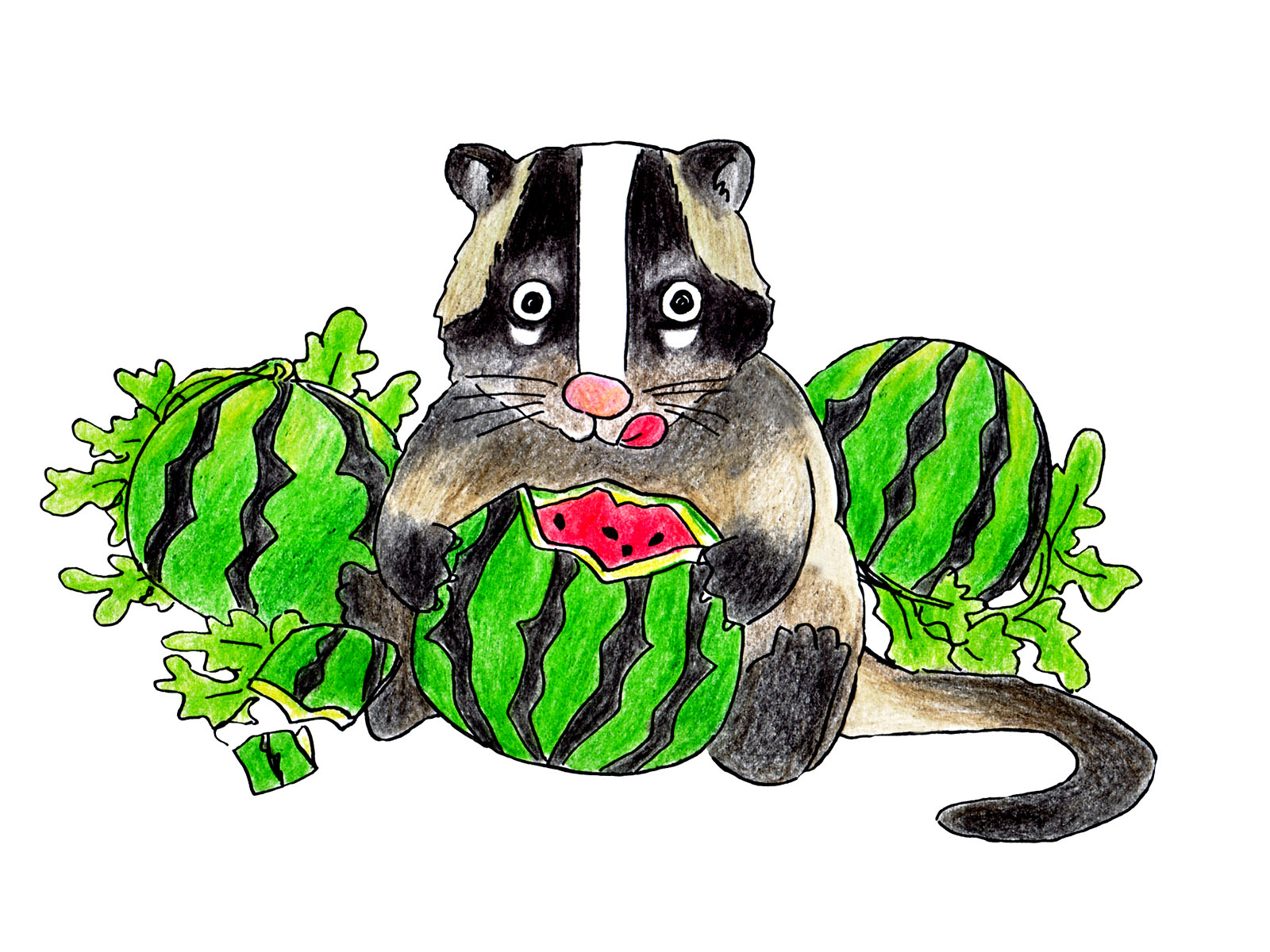 ハクビシンとさようなら!被害対策センター