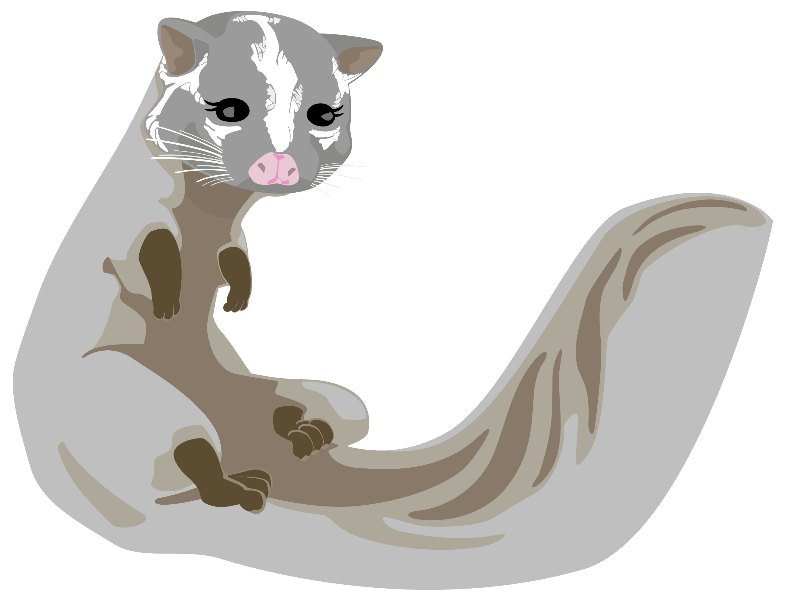 ハクビシンとさようなら!被害対策センター